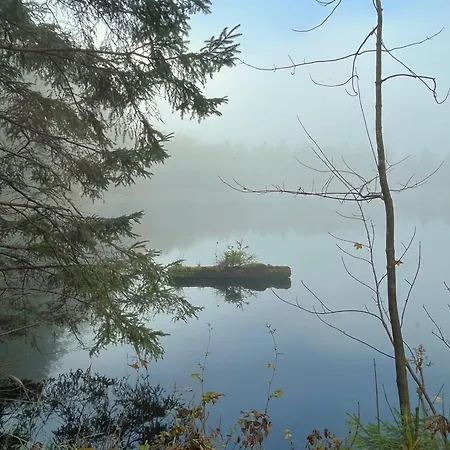 Atelier * Зеесхаупт