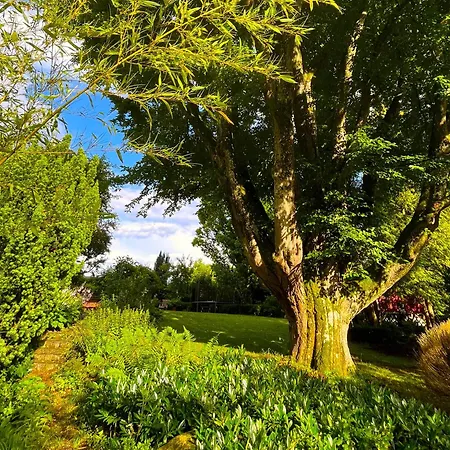 Atelier Апартаменты *